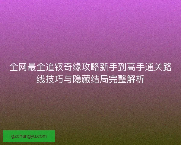 全网最全追钗奇缘攻略新手到高手通关路线技巧与隐藏结局完整解析