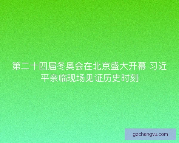第二十四届冬奥会在北京盛大开幕 习近平亲临现场见证历史时刻