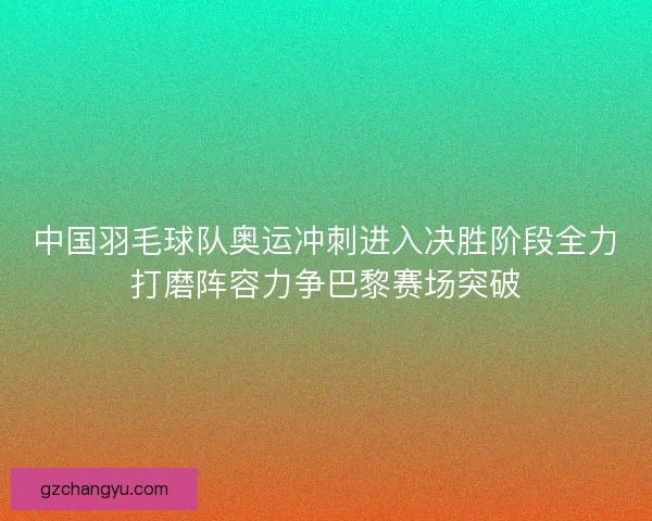 中国羽毛球队奥运冲刺进入决胜阶段全力打磨阵容力争巴黎赛场突破